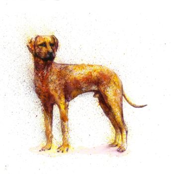 Painting titled "Dog Fantasy waterco…" by Natalja Picugina, Original Artwork, Watercolor