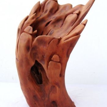 Скульптура под названием "Wind Blow" - Suresh Pant, Подлинное произведение искусства, Дерево