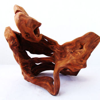 Skulptur mit dem Titel "Eye of the storm" von Suresh Pant, Original-Kunstwerk, Holz