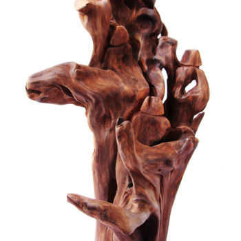 Rzeźba zatytułowany „Survivors” autorstwa Suresh Pant, Oryginalna praca, Drewno