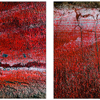 摄影 标题为“Seeing Red #02” 由Susan Bowen, 原创艺术品, 数码摄影