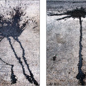 Fotografie getiteld "Spills Diptych #03" door Susan Bowen, Origineel Kunstwerk, Digitale fotografie