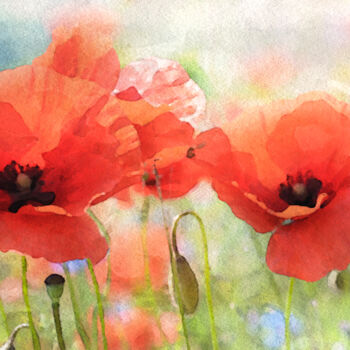 Digital Arts titled "Summer Poppies" by Susan Maxwell Schmidt, Original Artwork, Digital Painting
