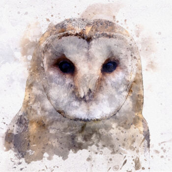 Digitale Kunst mit dem Titel "Barn Owl in Waterco…" von Susan Maxwell Schmidt, Original-Kunstwerk, Digitale Malerei