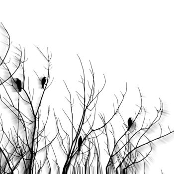 数字艺术 标题为“Wind in the Trees” 由Susan Maxwell Schmidt, 原创艺术品, 照片蒙太奇