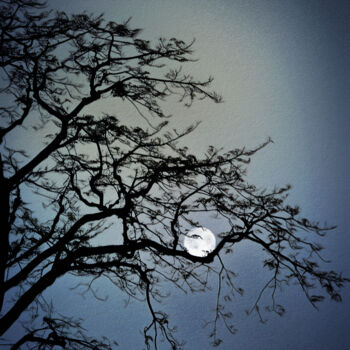 Digitale Kunst mit dem Titel "Coddled Moon" von Susan Maxwell Schmidt, Original-Kunstwerk, Digitale Malerei