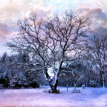 Photography titled "The Colors of Snow" by Susan Maxwell Schmidt, Original Artwork, Manipulated Photography