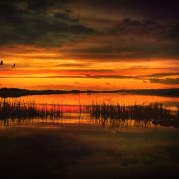 Fotografia intitulada "Marsh Sunset" por Susan Maxwell Schmidt, Obras de arte originais, Fotografia Manipulada