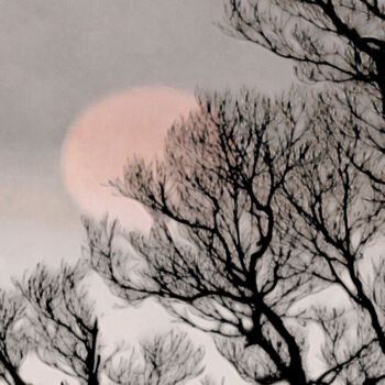 Digitale Kunst getiteld "Pink Moon" door Susan Maxwell Schmidt, Origineel Kunstwerk, Digitaal Schilderwerk