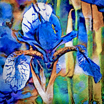 Arts numériques intitulée "Blue Dutch Iris" par Susan Maxwell Schmidt, Œuvre d'art originale, Peinture numérique