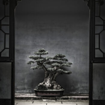 Fotografía titulada "Midnight in Kyoto" por Susan Maxwell Schmidt, Obra de arte original, Fotografía digital