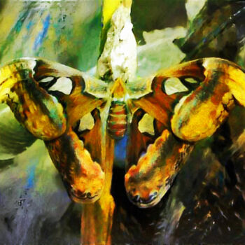 数字艺术 标题为“Atlas Moth” 由Susan Maxwell Schmidt, 原创艺术品, 数字油画