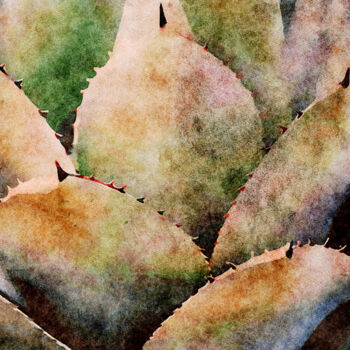 Digital Arts titled "Agave Succulent" by Susan Maxwell Schmidt, Original Artwork, Digital Painting