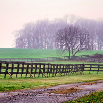 Photographie intitulée "Foggy Morning in Ch…" par Susan Maxwell Schmidt, Œuvre d'art originale, Photographie numérique