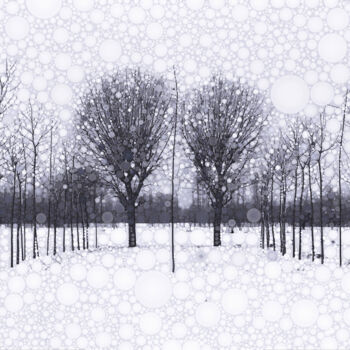 Fotografie getiteld "The Scent of Snow" door Susan Maxwell Schmidt, Origineel Kunstwerk, Gemanipuleerde fotografie