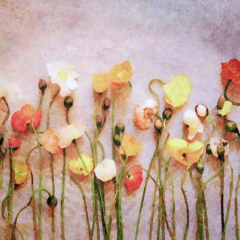 Arts numériques intitulée "Poppies of Summer's…" par Susan Maxwell Schmidt, Œuvre d'art originale, Peinture numérique
