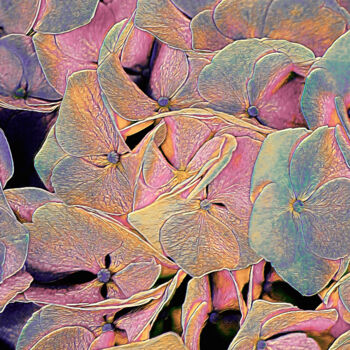 Цифровое искусство под названием "Opal Hydrangea" - Susan Maxwell Schmidt, Подлинное произведение искусства, Цифровая живопи…