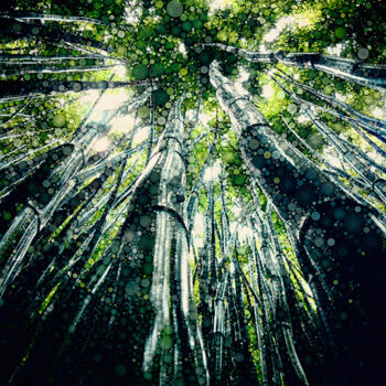 Photography titled "Black Bamboo Forest" by Susan Maxwell Schmidt, Original Artwork, Manipulated Photography