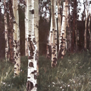 Digital Arts titled "White Birch" by Susan Maxwell Schmidt, Original Artwork, Digital Painting