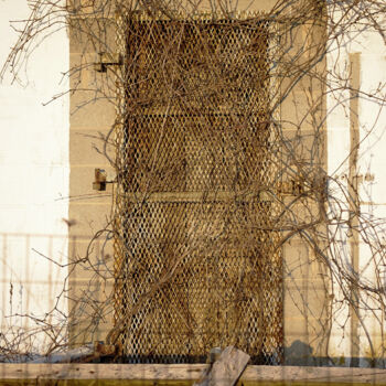 Photography titled "Rusted with Abandon" by Susan Maxwell Schmidt, Original Artwork, Non Manipulated Photography