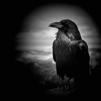 Photographie intitulée "Poe's Folly" par Susan Maxwell Schmidt, Œuvre d'art originale, Photographie numérique