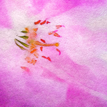Arts numériques intitulée "Cherry Blossom Fest…" par Susan Maxwell Schmidt, Œuvre d'art originale, Peinture numérique