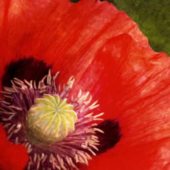Artes digitais intitulada "Oriental Red Poppy" por Susan Maxwell Schmidt, Obras de arte originais, Pintura digital
