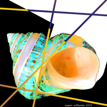 「shell9.jpg」というタイトルのデジタルアーツ Susan Williamsによって, オリジナルのアートワーク, 写真モンタージュ