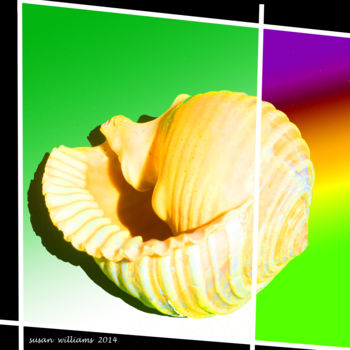 Digital Arts titled "shell15.jpg" by Susan Williams, Original Artwork, Photo Montage