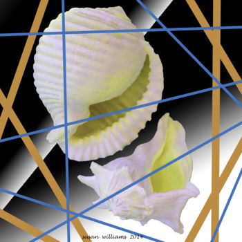 Digital Arts titled "shell17.jpg" by Susan Williams, Original Artwork, Photo Montage