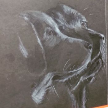 Painting titled "2 dogs in the dark" by Susana Evangelista, Original Artwork, Pencil