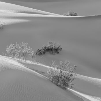 Photography titled "Dunes IV - Dunes Se…" by Susanna Patras, Original Artwork, Digital Photography