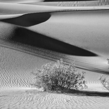 Photography titled "Dunes II - Dunes Se…" by Susanna Patras, Original Artwork, Digital Photography