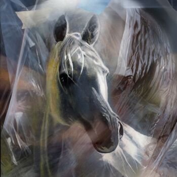 Pintura titulada "caballo" por Suso C. Ben, Obra de arte original, Oleo Montado en Bastidor de camilla de madera