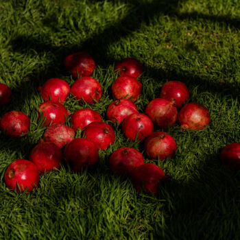 Photography titled "Pomegranate on grass" by Suvorova Xenia, Original Artwork, Digital Photography