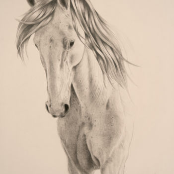 Dessin intitulée "White Horse" par Stephanie Valentin, Œuvre d'art originale, Crayon
