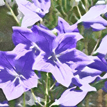 Artes digitais intitulada "Bellflowers blooms…" por Svalvald Photo, Obras de arte originais, Pintura digital