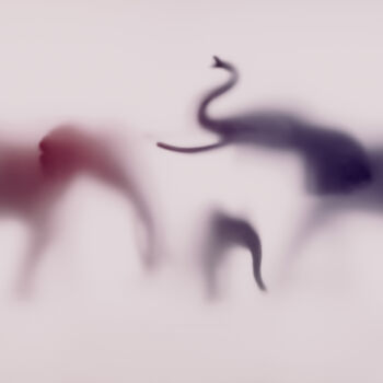 摄影 标题为“WILD LENS - ELEPHAN…” 由Sven Pfrommer, 原创艺术品, 模拟打印 安装在铝上