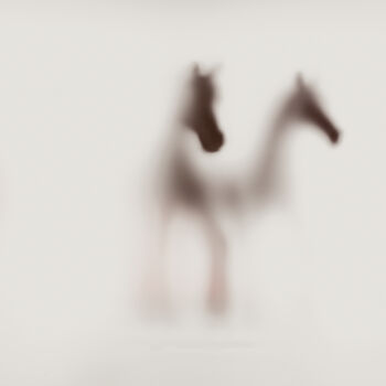 Fotografie getiteld "WILD LENS - HORSES I" door Sven Pfrommer, Origineel Kunstwerk, Film Print Gemonteerd op Aluminium