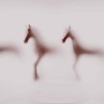 Photography titled "WILD LENS - HORSES…" by Sven Pfrommer, Original Artwork, Analog Print Mounted on Aluminium