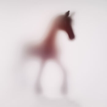 Photography titled "WILD LENS - HORSE X…" by Sven Pfrommer, Original Artwork, Analog Print Mounted on Aluminium