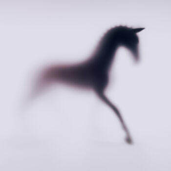 Fotografie getiteld "WILD LENS - HORSE X…" door Sven Pfrommer, Origineel Kunstwerk, Film Print Gemonteerd op Aluminium