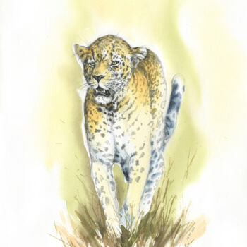 Painting titled "Jaguar" by Svetlana Kilian, Original Artwork, Watercolor