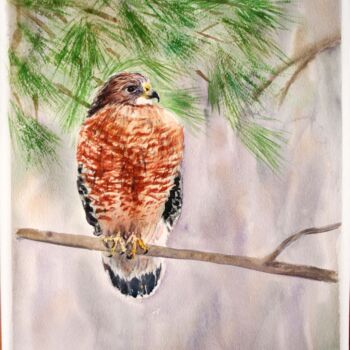 Painting titled "Falcon" by Svetlana Samovarova (SA.LANA), Original Artwork, Watercolor