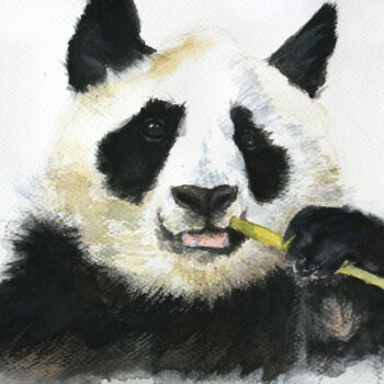 Peinture intitulée "Panda III" par Svetlana Samovarova (SA.LANA), Œuvre d'art originale, Aquarelle