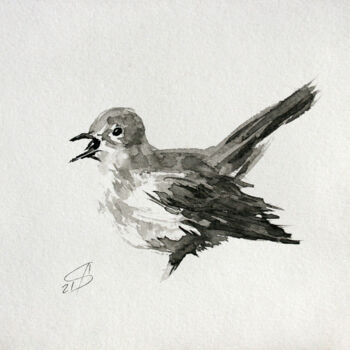 Рисунок под названием "BIRD II / Ink" - Svetlana Samovarova (SA.LANA), Подлинное произведение искусства, Чернила