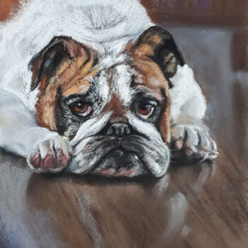 Drawing titled "BULLDOG..." by Svetlana Samovarova (SA.LANA), Original Artwork, Pastel