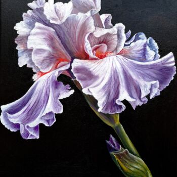 Schilderij getiteld "Iris on a black bac…" door Svetlana Samsonova, Origineel Kunstwerk, Olie