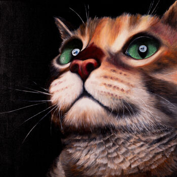 Malarstwo zatytułowany „Cat” autorstwa Svitlana Miku, Oryginalna praca, Olej