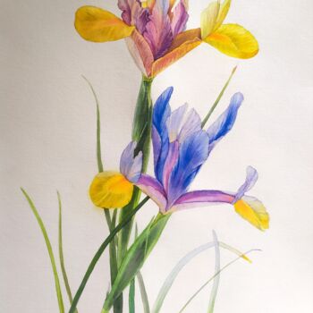 Painting titled "Irises" by Svitlana Oleksandrova, Original Artwork, Watercolor